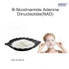 B-Nicotinamide-AdenineDinucleotide(NAD) B-Nicotinamide-AdenineDinucleotide(NAD)