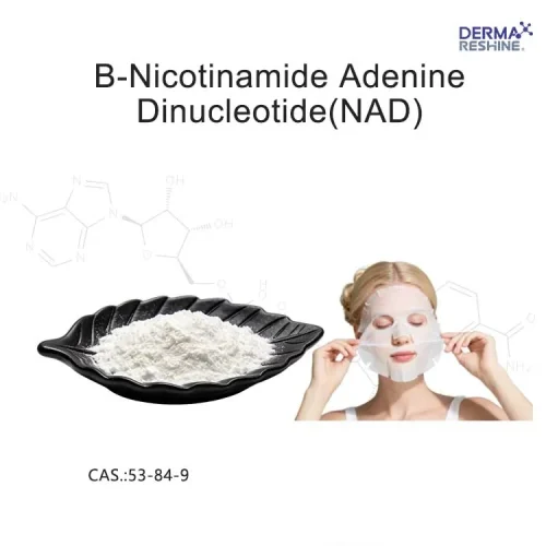B-Nicotinamide-AdenineDinucleotide(NAD)