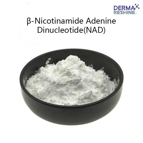 β-Nicotinamide Adenine Dinucleotide(NAD)