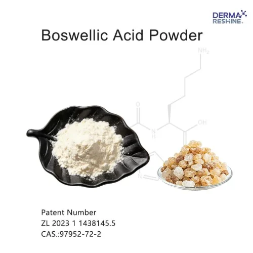 Boswellic Acid Powder Boswellic Acid Powder