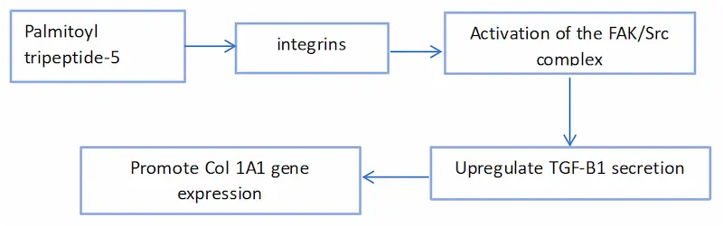 Palmitoyl Tripeptide-5