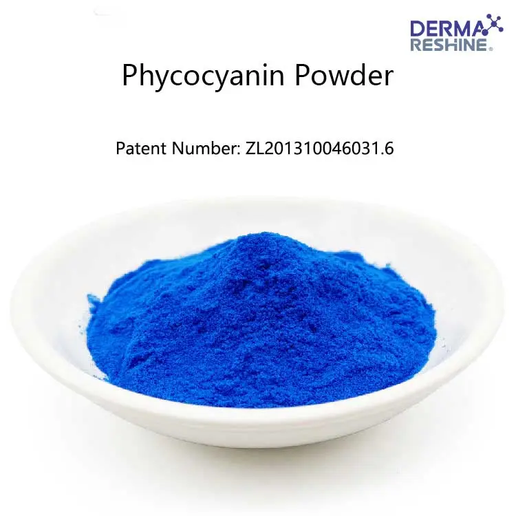 Natural Phycocyanin Powder Bulk & Wholesale Supply