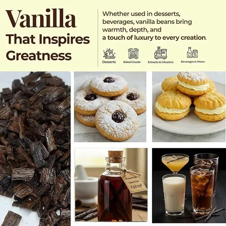 Vanilla Application